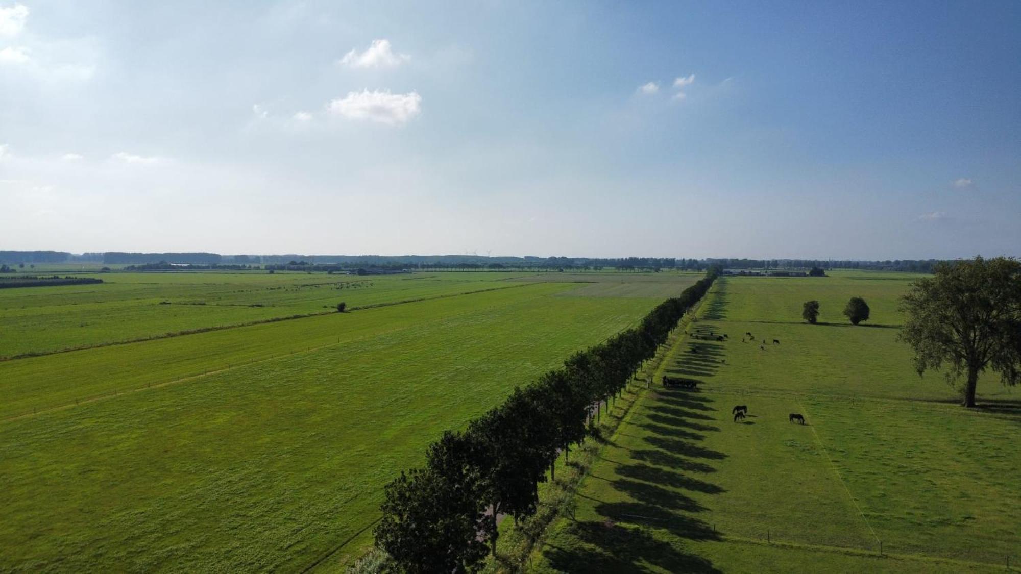 Landelijke Huis In De Betuwe Tricht Extérieur photo